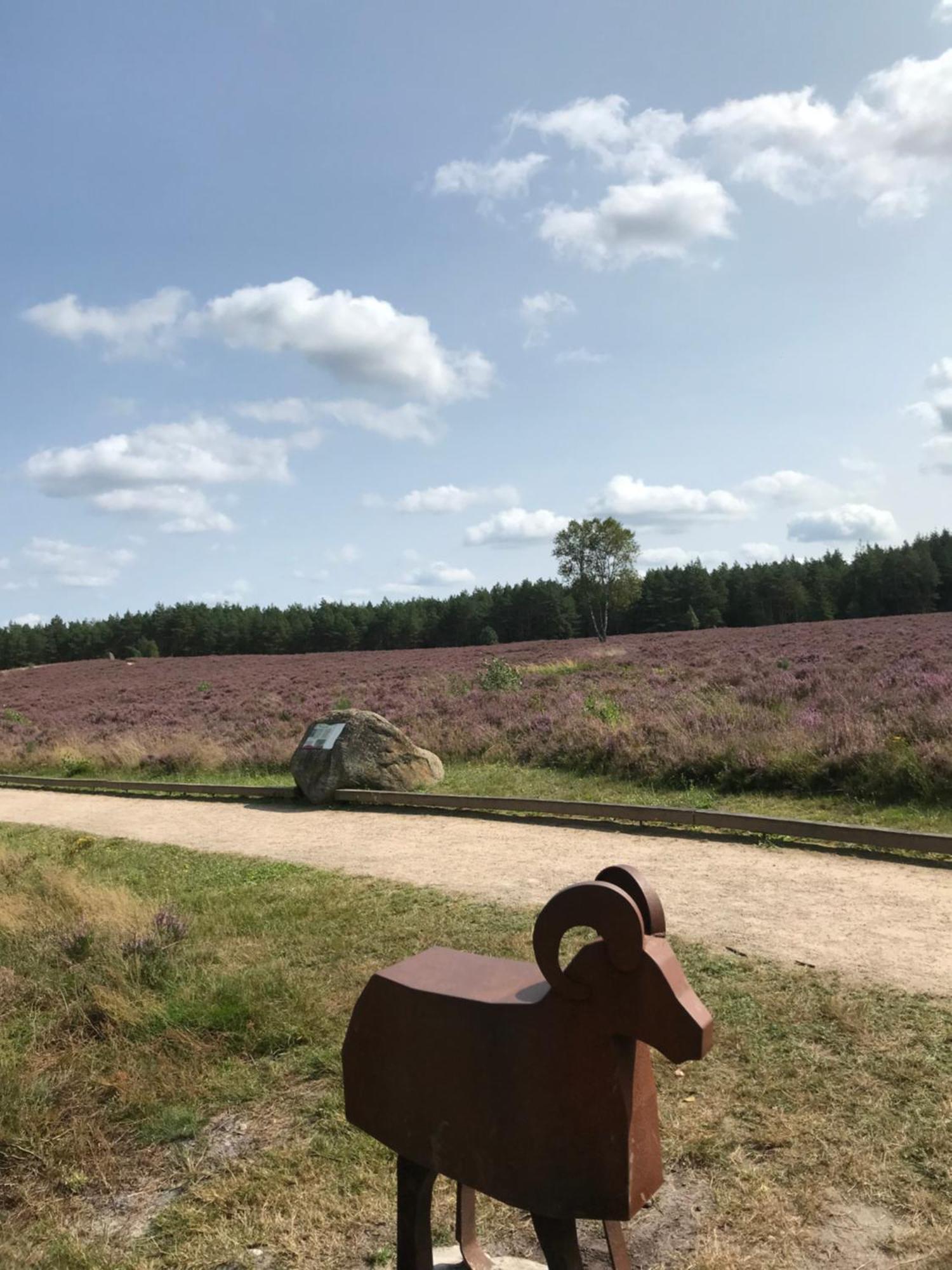 Naturhotel Hof Ehlers برغن المظهر الخارجي الصورة